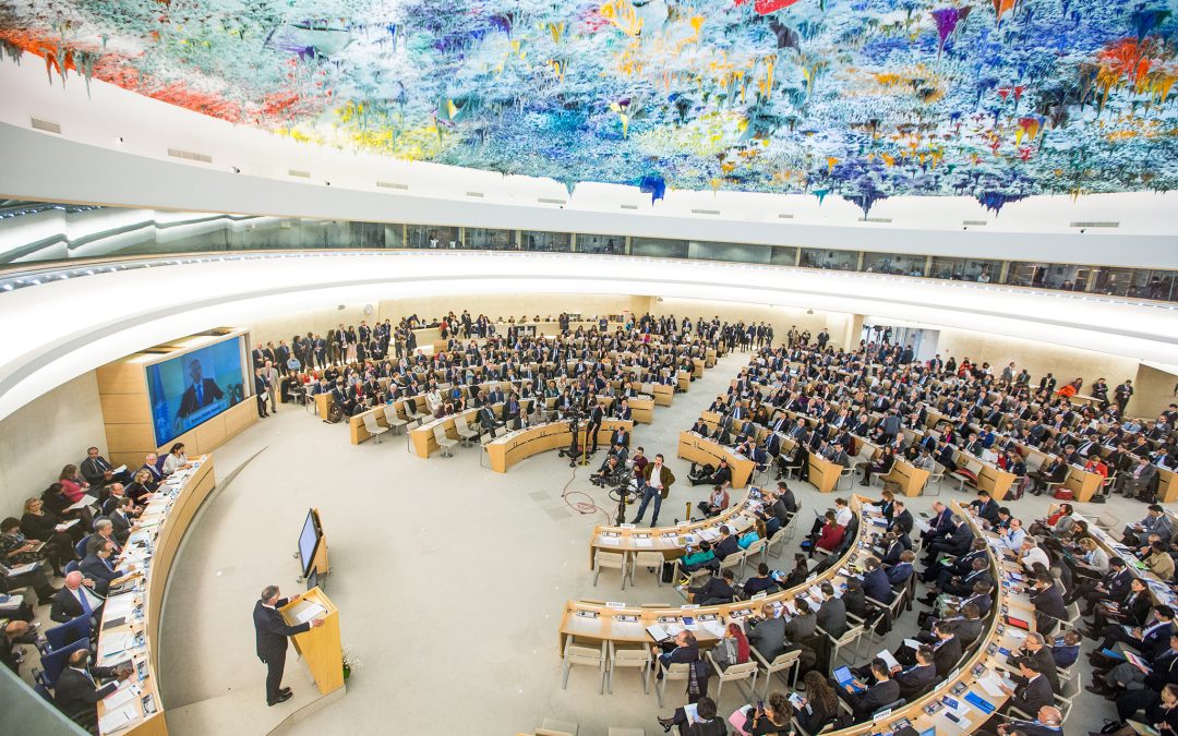 Statement to the UN Working Group on Arbitrary Detention During the 63rd UN Human Rights Council